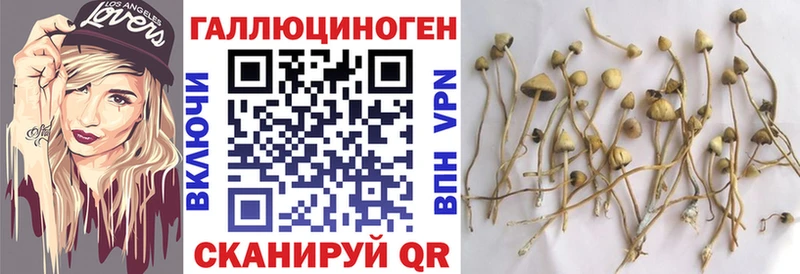 shop клад  Баймак  Псилоцибиновые грибы Magic Shrooms 